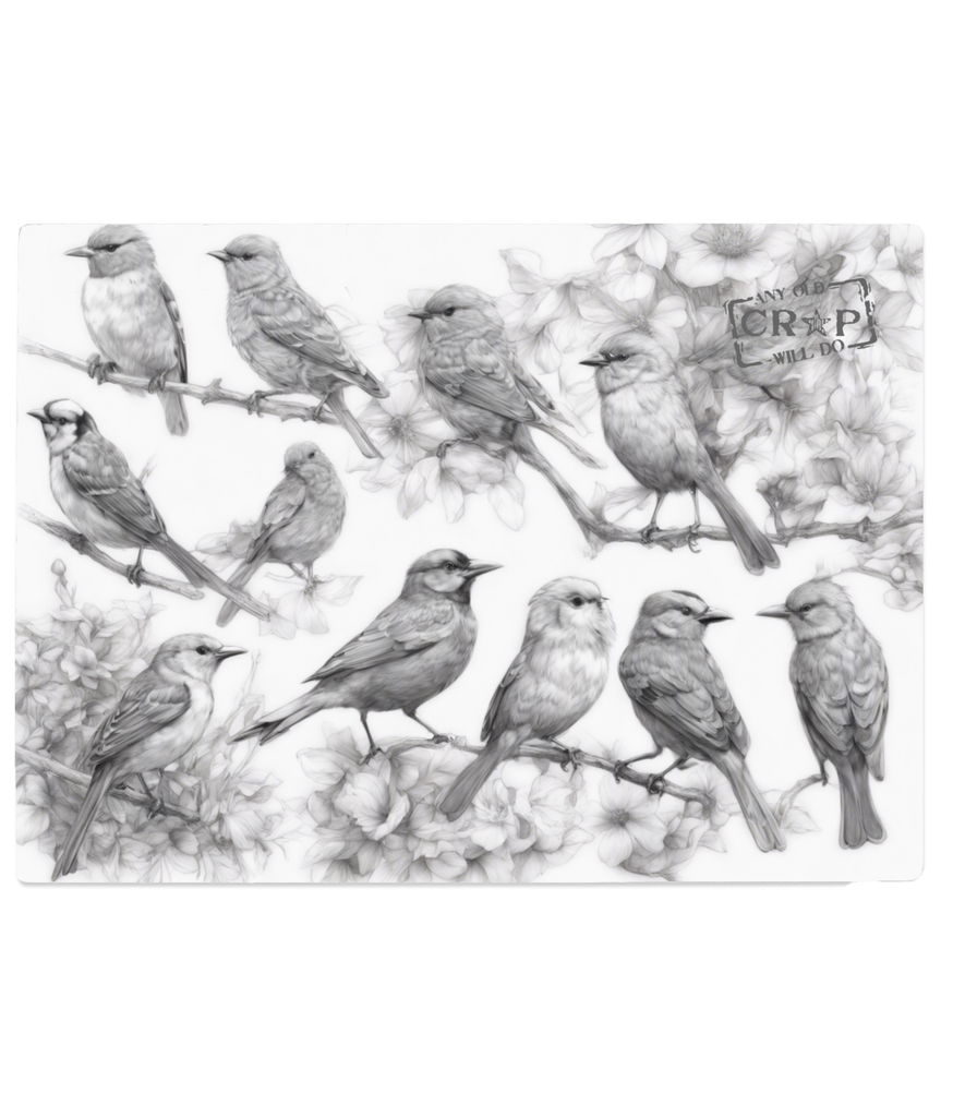 Tempered glass chopping board or table mat, covered in pencil sketches of birds and flowers, with the Any Old Crap Will Do logo in the top right corner.